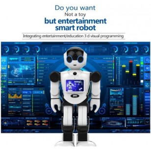 Intelligent Humanoid Robot for Entertainment Education